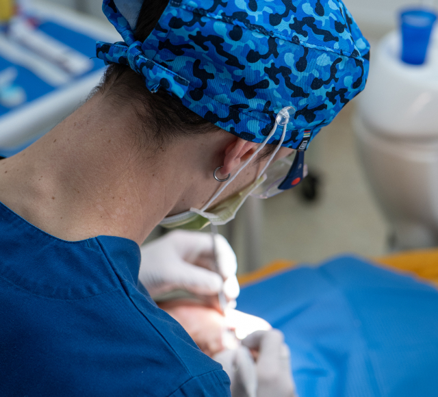 dentisi-brescia-competenze-denti-boca-sorrisi